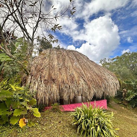 Sierra Alta Finca Boutique Villa Minca Exteriör bild