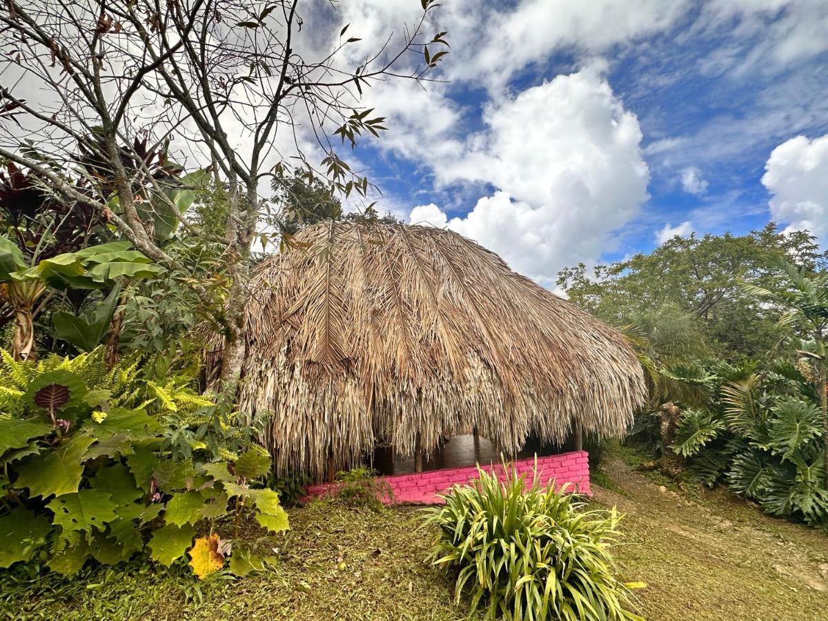 Sierra Alta Finca Boutique Villa Minca Exteriör bild